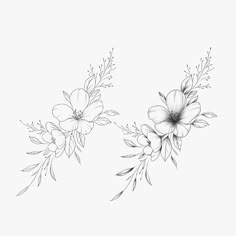 black and white drawing of flowers on a white background