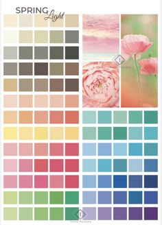 the color palette for spring light