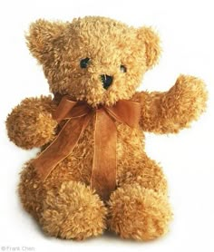 a brown teddy bear sitting up against a white background