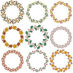 six different wreaths with leaves and berries in the shape of oval frames on a white background