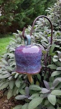 a purple and blue birdhouse sitting on top of a bush next to some bushes