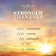 Young Living Essential Oils on Instagram: "❤️Try out our Stronger Than Ever diffuser blend today made with the clarifying Lemongrass, cozy Copaiba, cooling Peppermint, refreshing R.C., and cozy Thieves. . . . . . . #goldendropsociety #staygolden #youngliving #myYLlife #myoilyday #holisticmama #imanoilymama #babystepsteam #yleo #essentialoils #holisitic #YLtip #yleo #essentialoils #essentialoilswork #essentialoiltips #essentialoilsdiy #essentialoils101 #aromatherapy #youngliving #yldiy #wellness Young Living Copaiba, Rc Essential Oil, Diffuser Blends Young Living, Young Living Diffuser, Essential Oil Blends Recipes, Essential Oil Mixes