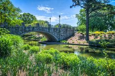 an old stone bridge over a river surrounded by trees and bushes on a sunny day