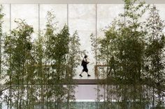 a man walking past tall bamboo trees in front of a wall with mirrors on it