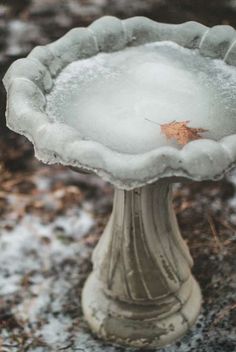 an old fashioned bird bath is covered in ice and has a maple leaf on it