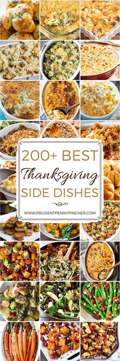 the best thanksgiving side dishes from around the web to make it look like they have been cooked