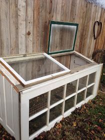 an old window is being used as a planter in the back yard for plants