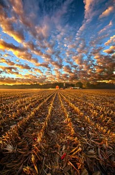 the sky is filled with clouds above a corn field at sunset in this rural area