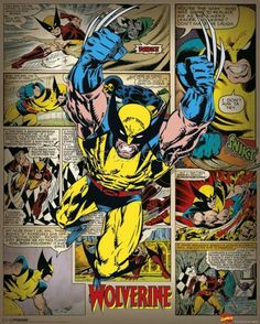 the wolverine comic strip is shown in this framed photo, and it appears to be an old