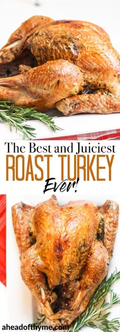 the best and juicyest roast turkey ever