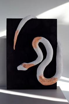 a white and orange snake is on a black block with the light coming through it