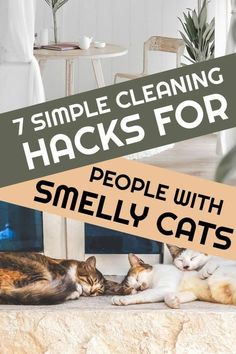 two cats laying on the ground with text overlay that reads 7 simple cleaning hacks for people with smelly cats