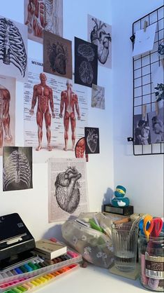 the wall is covered with various medical and art supplies