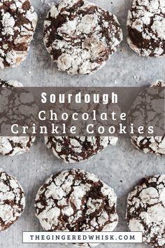 chocolate crinkle cookies with text overlay that reads sourdough chocolate crinkle cookies