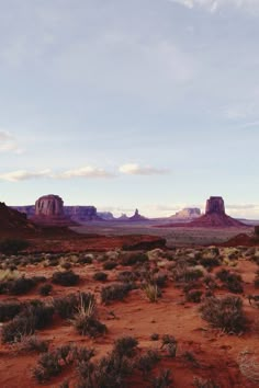 the desert is full of red rocks and green plants