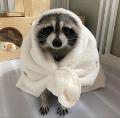 a raccoon wrapped in a towel on top of a sink