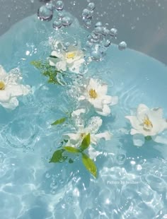 three white flowers floating in water with bubbles