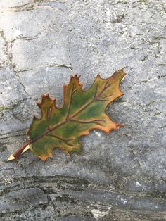 Hand carved leather oak leaf hair barrette Leather Oak Leaf, Embroidered Oak Leaves, Oak Leaf Tiara, Fall Leaf Hair Clip, Nature-inspired Leaf-shaped Brass Jewelry, Feather Hair Clips, Oak Leaf, Feathered Hairstyles, Barrette Clip