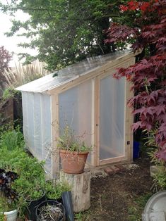 there is a small greenhouse in the yard with potted plants and other things around it