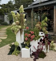 several different types of plants in white containers on gravel area next to grass and building