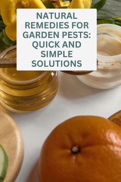 Natural Remedies for Garden Pests: Quick and Simple Solutions Banana Peel, Pest Management