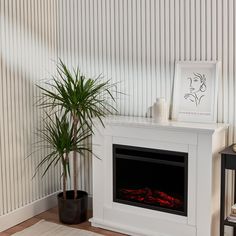 a living room with a white fireplace and a potted plant on the floor next to it