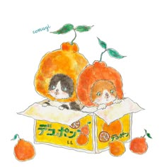 two cats are sitting in a box with oranges