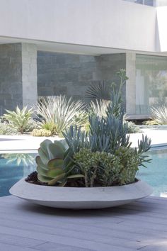 a planter filled with succulents sitting on top of a wooden table