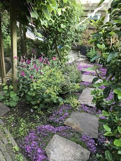 a garden with purple flowers and rocks in the middle, surrounded by greenery on both sides