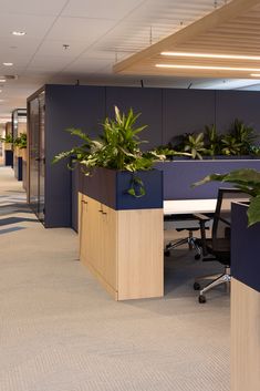 an office cubicle with plants in the middle