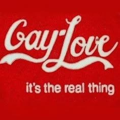 the words gay love it's the real thing on a red background