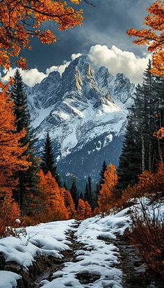 a snow covered mountain with trees in the foreground and clouds in the sky above