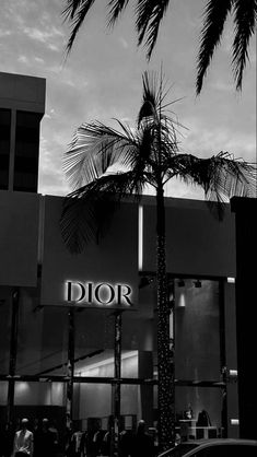 a black and white photo of a store front with palm trees in the foreground