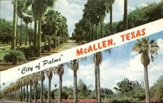 an old postcard with palm trees and the name of mcalen texas on it