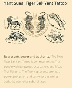 an advertisement with tiger tattoos on it