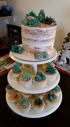 three tiered cake with cupcakes and succulents on each layer