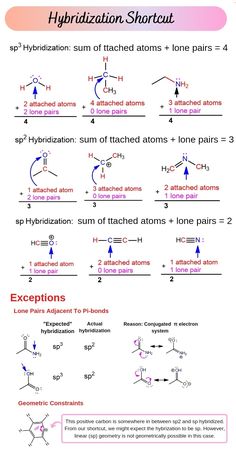 the diagram shows different types of hydrogens and their names, with text below it