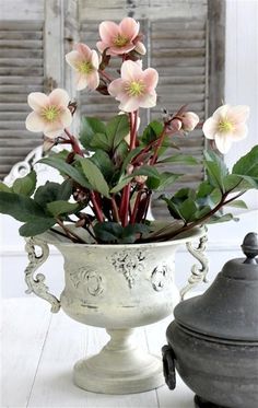 a white vase filled with pink flowers on top of a table next to a potted plant