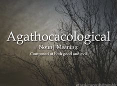 the words agathocalogical are written in white on a dark background with bare trees