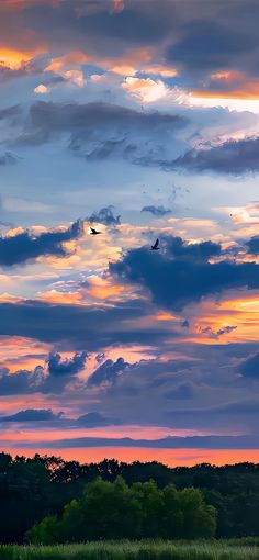 the sky is filled with clouds and birds