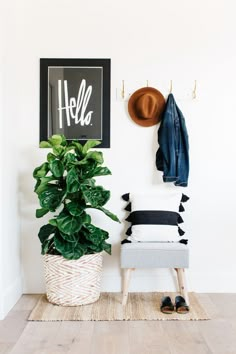 a room with a potted plant, coat rack and hat on the wall next to a chair