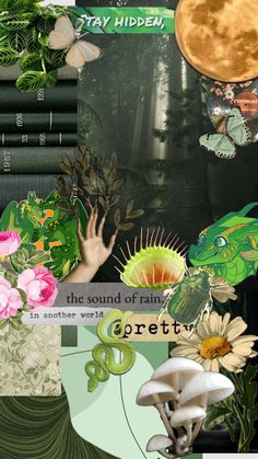 a collage of images with flowers, plants and books in the foreground is an image of a hand reaching for a flower