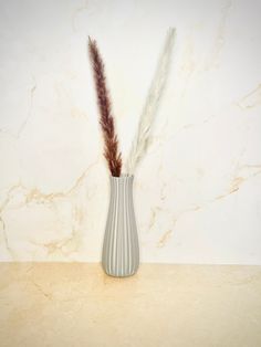 there is a vase with two feathers in it on the counter top next to a marble wall