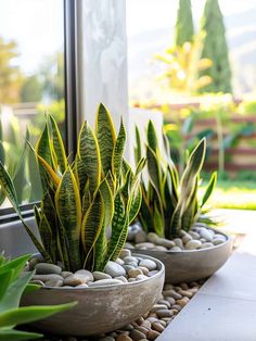 three potted plants sitting next to each other on a window sill in front of a house