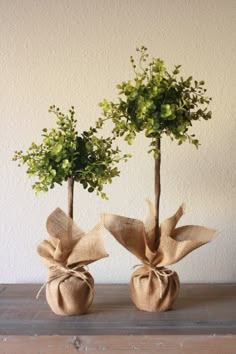 two vases with small trees in them on a table