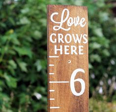 a wooden ruler with the words love grows here written on it, in front of some bushes