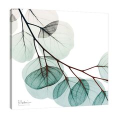 an abstract photograph of leaves hanging from a tree branch in green and blue tones on a white background