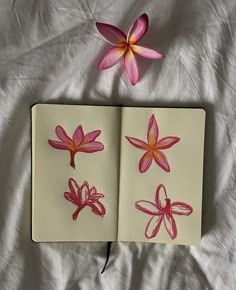 an open notebook with drawings of flowers on the pages, and a pink flower in the middle