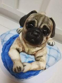 a small pug dog figurine sitting on top of a blue blanket in front of a white door