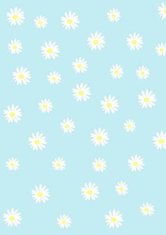 a blue background with white daisies on it